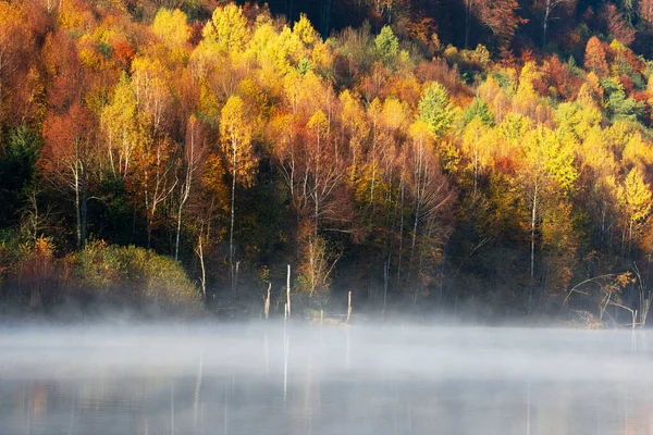 霧の多い湖に映る美しい秋の森 — ストック写真