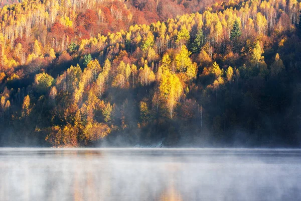Prachtig Herfstbos Reflecterend Mistig Meer — Stockfoto