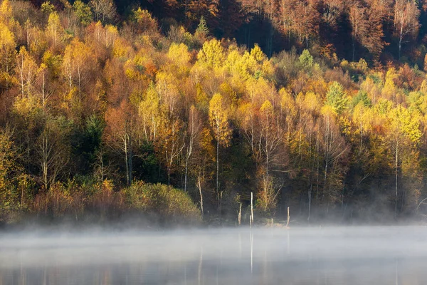 Prachtig Herfstbos Reflecterend Mistig Meer — Stockfoto