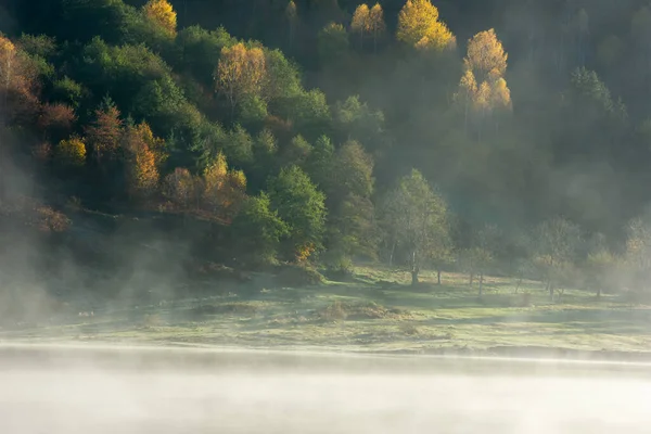 Vacker Höstskog Reflekteras Dimmig Sjö — Stockfoto