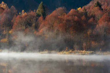 Güzel sonbahar ormanı sisli gölde yansıyor.