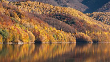 Güzel sonbahar ormanı göle yansıyor.