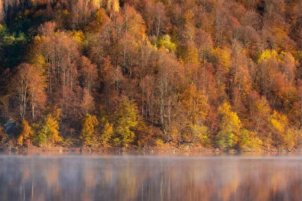 Prachtig Herfstbos Reflecterend Mistig Meer — Stockfoto