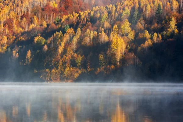 Piękny Jesienny Las Odbijający Się Mglistym Jeziorze — Zdjęcie stockowe