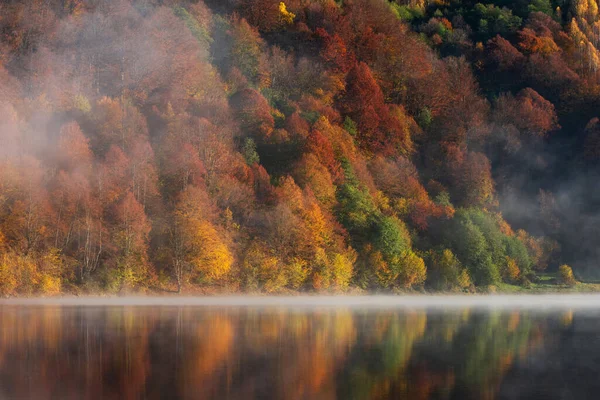 Schöner Herbstwald Spiegelt Sich Nebligen See — Stockfoto