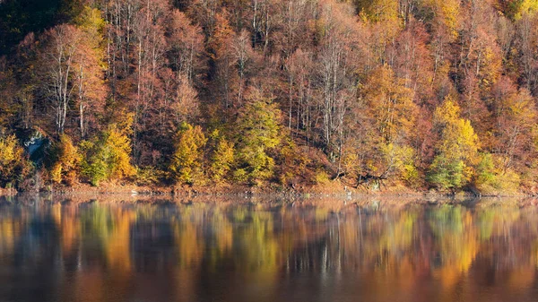 Schöner Herbstwald Spiegelt Sich Nebligen See — Stockfoto