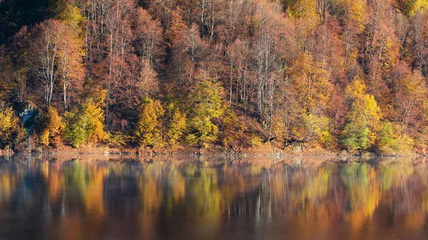 Vacker Höstskog Reflekteras Dimmig Sjö — Stockfoto