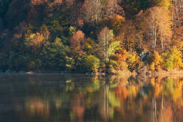 Hermoso Bosque Otoño Reflejándose Lago —  Fotos de Stock