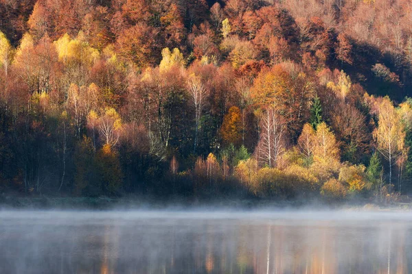 Güzel sonbahar ormanı sisli gölde yansıyor.