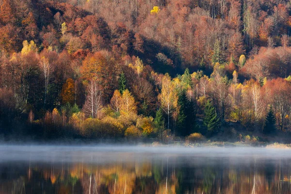 Прекрасный Осенний Лес Отраженный Туманном Озере — стоковое фото