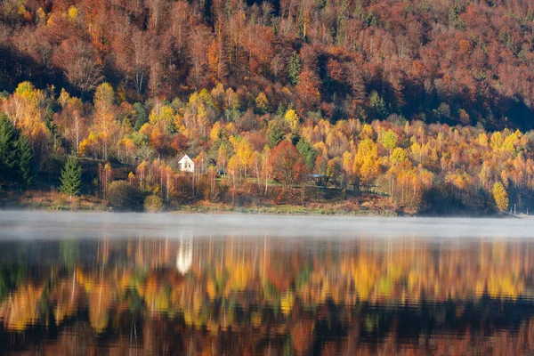 Vacker Höstskog Reflekteras Dimmig Sjö Sjöstuga — Stockfoto