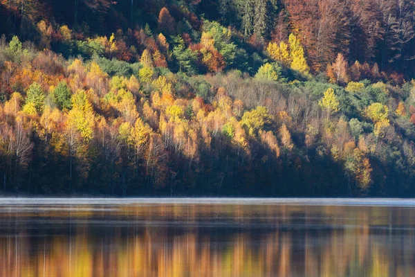 Güzel sonbahar ormanı sisli gölde yansıyor.