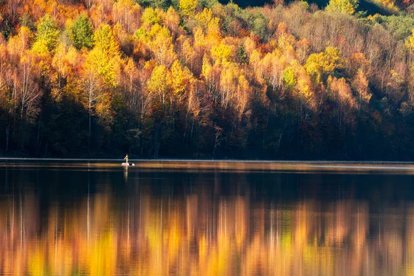 Осенний Пейзаж Отражение Леса Озере — стоковое фото