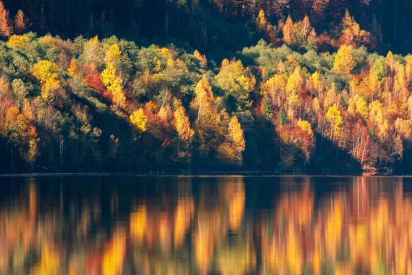 Herbstlandschaft Wald Der Sich See Spiegelt — Stockfoto