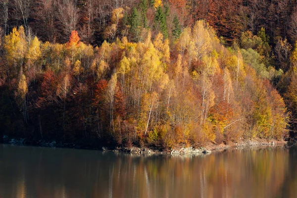 Vacker Höstskog Reflekteras Sjön — Stockfoto