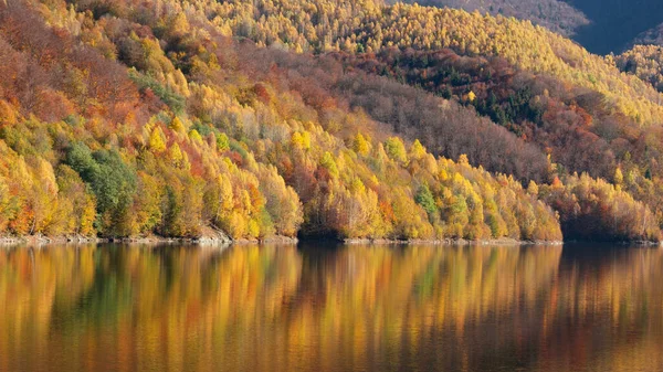Prachtig Herfstbos Reflecterend Meer — Stockfoto