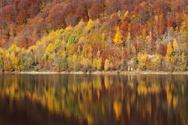 秋の風景 湖の森の反射 — ストック写真