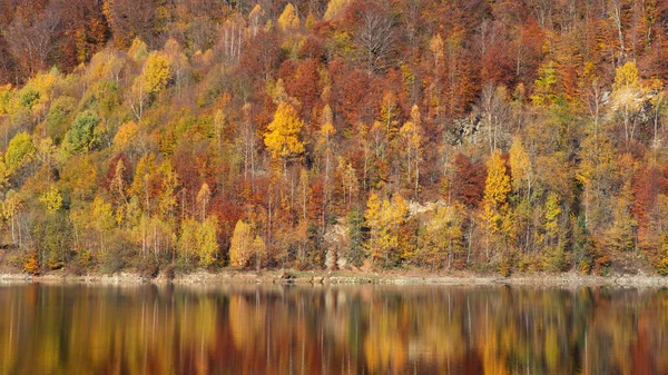 Herfstlandschap Bosreflectie Het Meer — Stockfoto