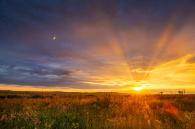 Renkli bulutlar ve güneş ışınlarıyla görkemli yaz günbatımı