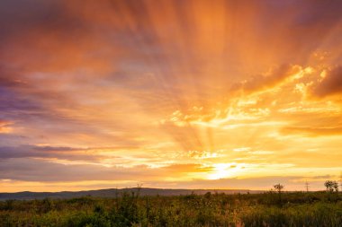 Renkli bulutlar ve güneş ışınlarıyla görkemli yaz günbatımı