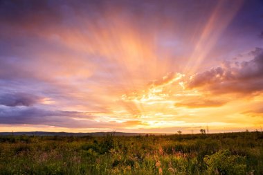 Renkli bulutlar ve güneş ışınlarıyla görkemli yaz günbatımı