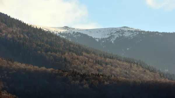 Berg Und Wald Novemberabend — Stockfoto
