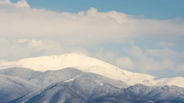 Picos Montaña Cubiertos Nieve Atardecer Ubicación Tarcu Mountains Rumania — Foto de Stock