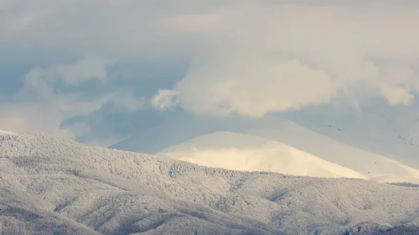 Picos Montaña Cubiertos Nieve Atardecer Ubicación Tarcu Mountains Rumania — Foto de Stock