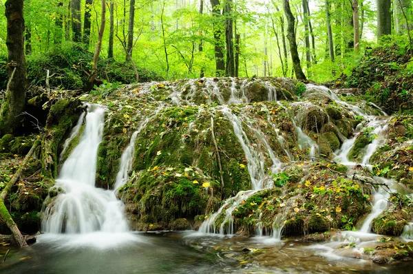 Mountain waterfall in late Autumn — Stock Photo, Image