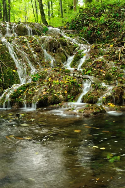 Mountain waterfall in late Autumn — Stock Photo, Image