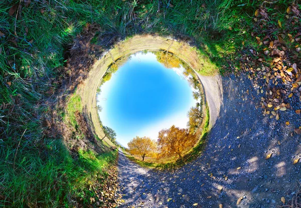 Proyección estereográfica panorámica de un árbol otoñal — Foto de Stock