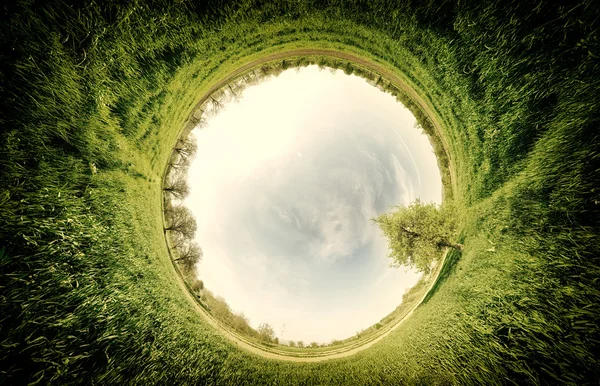 Stereografische Panoramaprojektion einer grünen Wiese mit Bäumen lizenzfreie Stockfotos