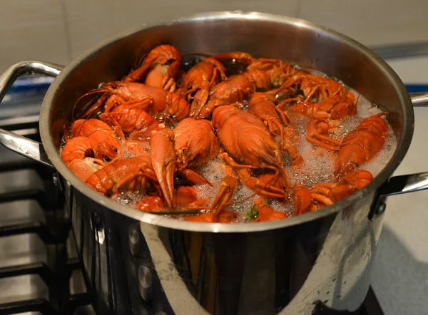 Lagostins Rio São Cozidos Água Uma Panela Fogão Cozinha Lagostins — Fotografia de Stock