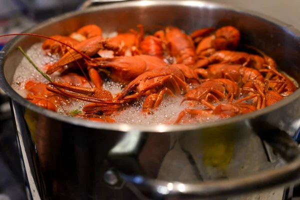 river crayfish are cooked in water in a saucepan on the stove in the kitchen, the crayfish are red from cooking