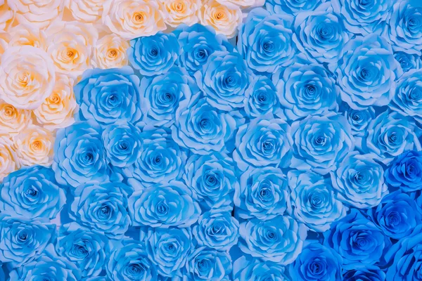 Gökkuşağı renkli gül çiçek kağıt arka plan