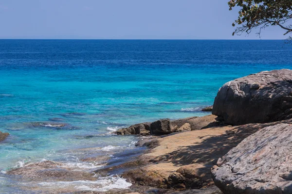Güzel deniz kaya, ağaç ve tasarımınız için boşluk