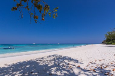 Güzel bir plaj tekne, yaprak ve tasarımınız için boşluk