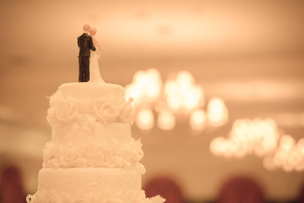 Beautiful Cake for Wedding Ceremony