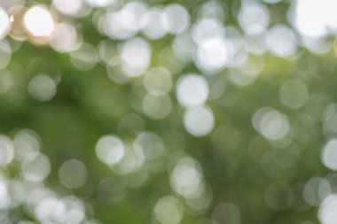 Doğal ışık tarafından yapılan güzel Bokeh
