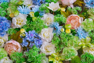 çiçek alan arka plan