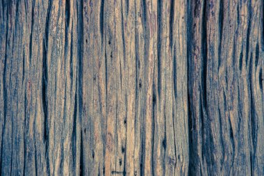 Eski ahşap doku, arka plan, filtre işlemine