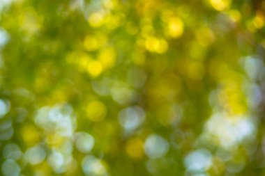 Tatil şenlikli bokeh. Kutlama arka plan