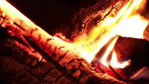 Fogata ardiendo en primer plano de la noche — Vídeo de stock