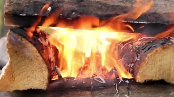 Bois de chauffage en feu gros plan — Video