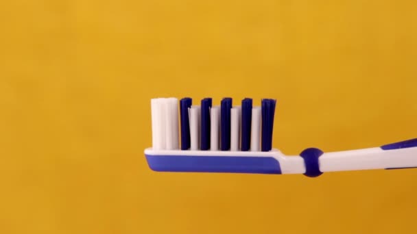 Zahnpasta auf der Zahnbürste Nahaufnahme — Stockvideo