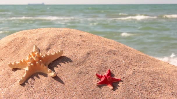 Relájese en la playa — Vídeo de stock