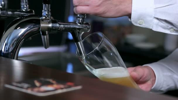 Füllen von Bier in ein Glas Nahaufnahme — Stockvideo