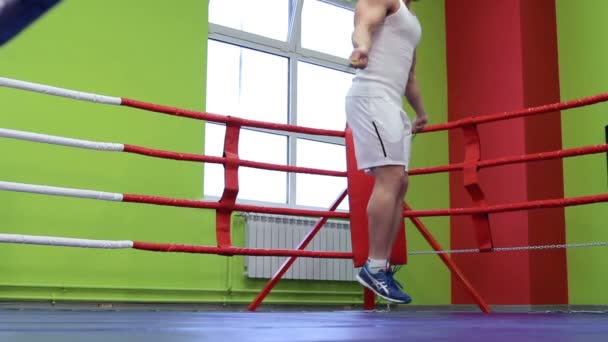 ボクサーのトレーニング トレーニング — ストック動画