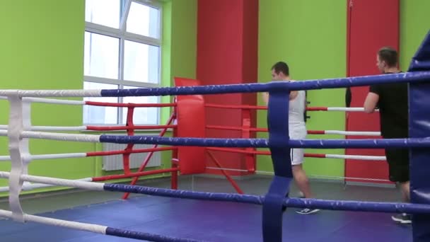 Boxing classes training — Stock Video