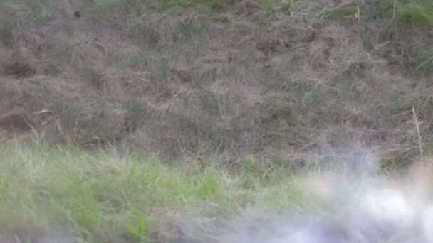 Des soldats nazis meurent de l'explosion. Seconde Guerre mondiale. La reconstruction de la bataille 